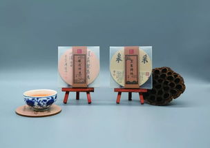 避暑山莊夾進(jìn)書里 紙上的青山與流年